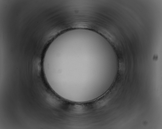 X0000101970302200807181111