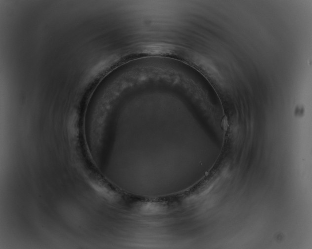 X0000101970303200807181111