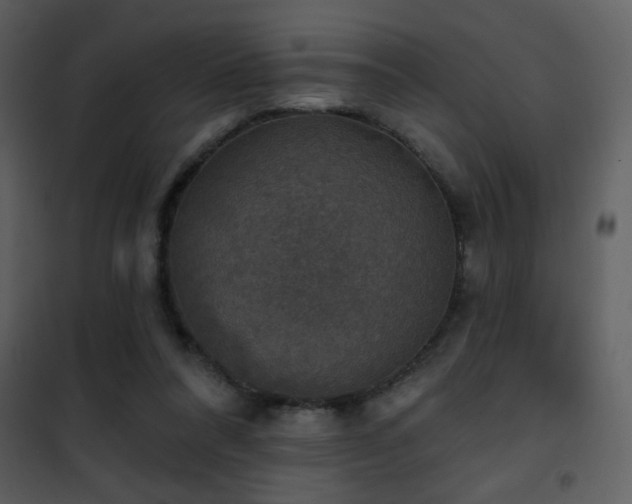 X0000101970304200807181111