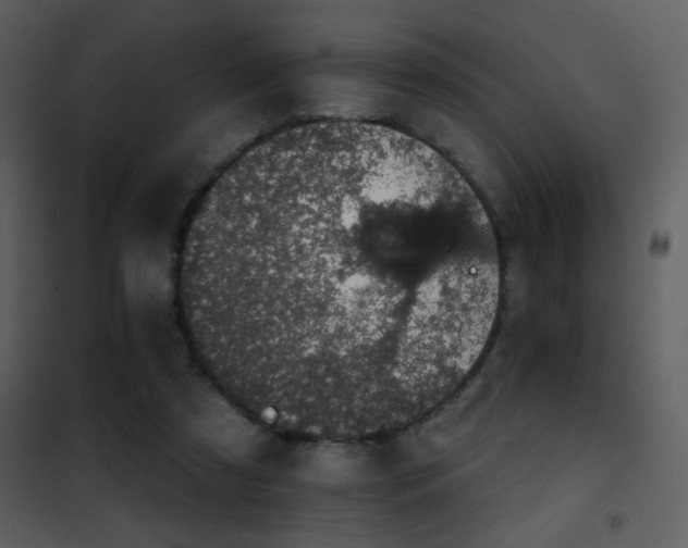 X0000101970305200807181111
