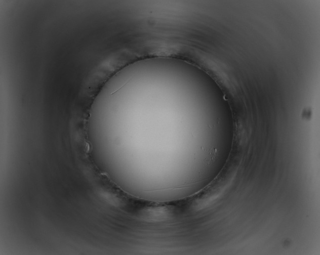 X0000101970307200807181111