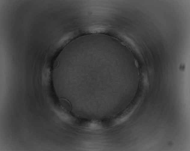 X0000101970308200807181111