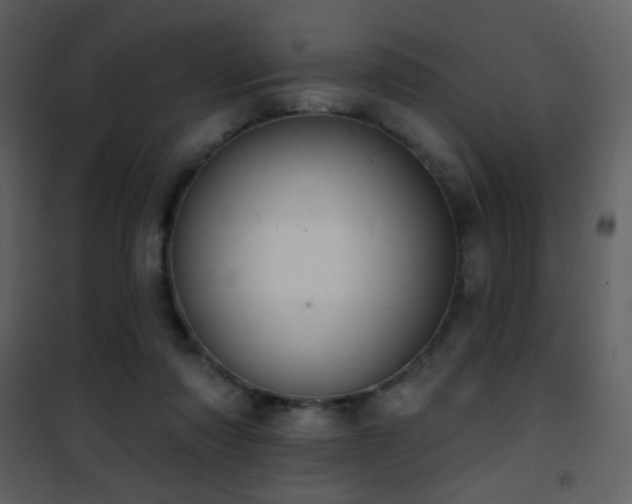 X0000101970310200807181111