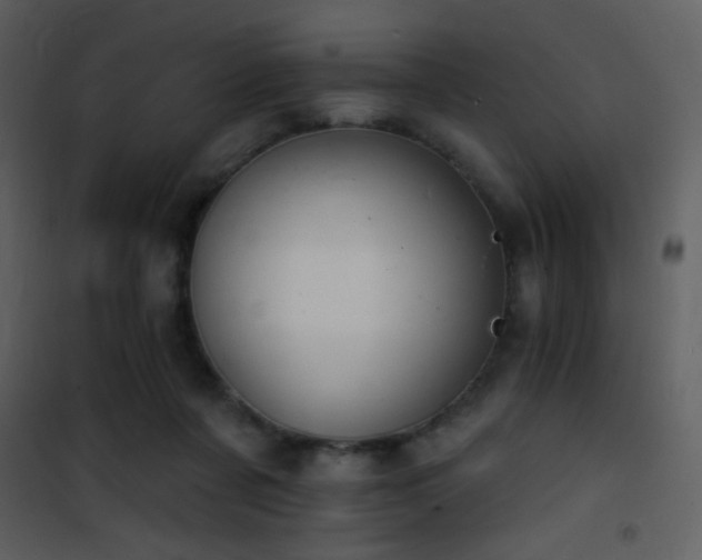X0000101970311200807181111