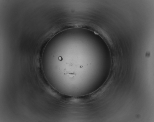 X0000101970313200807181111