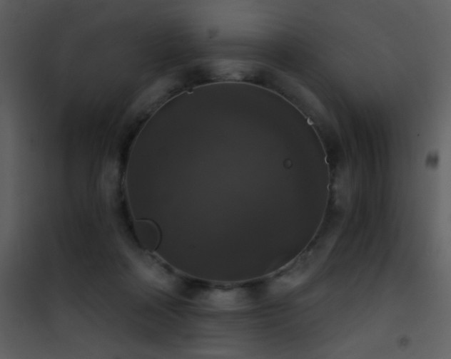 X0000101970314200807181111