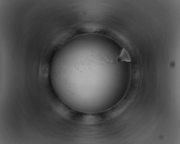 X0000101970315200807181111