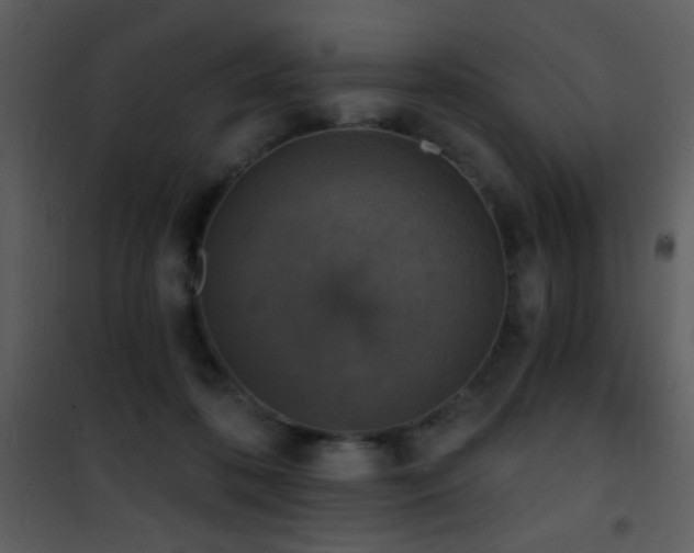 X0000101970316200807181111