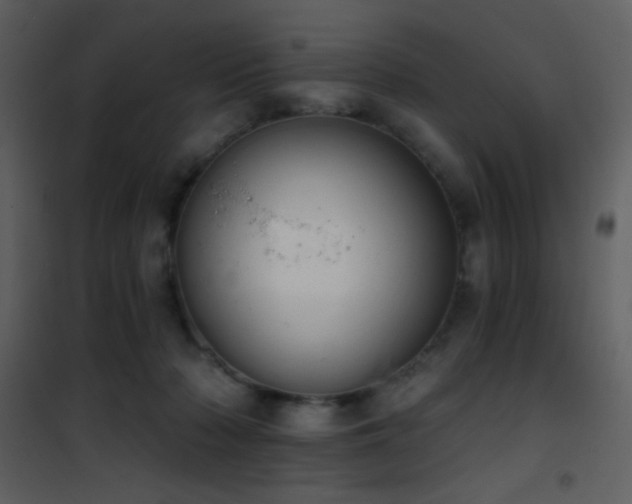 X0000101970318200807181111