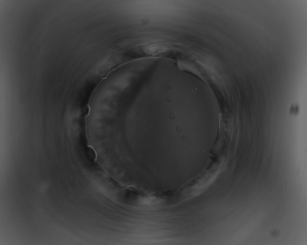 X0000101970319200807181111