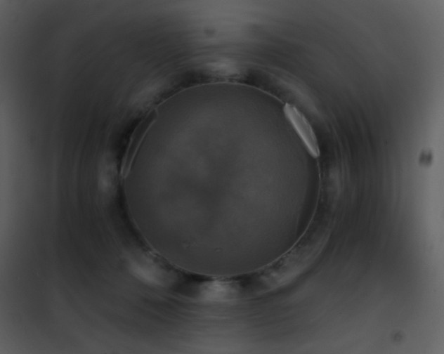 X0000101970320200807181111