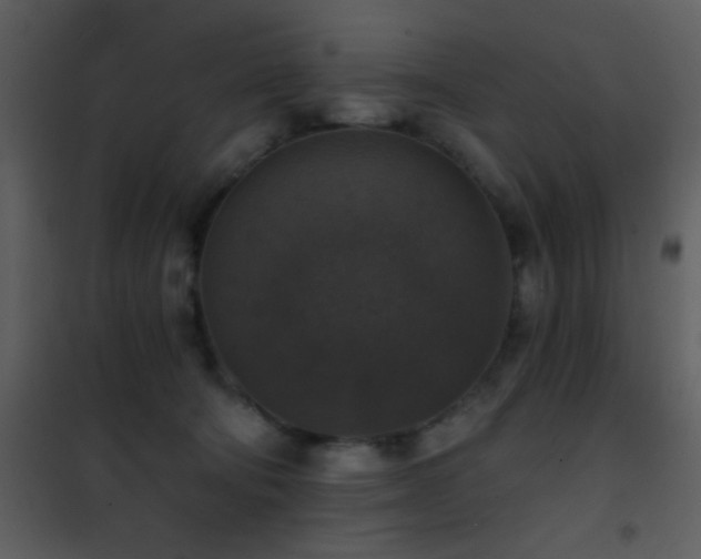 X0000101970322200807181111
