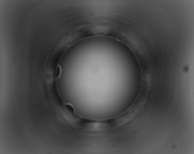 X0000101970323200807181111