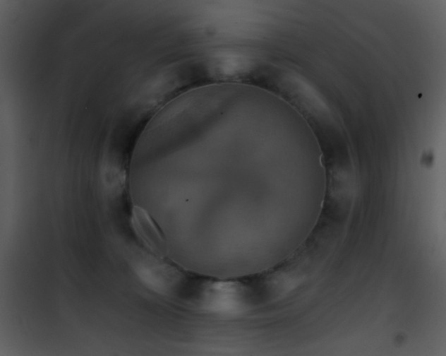 X0000101970324200807181111