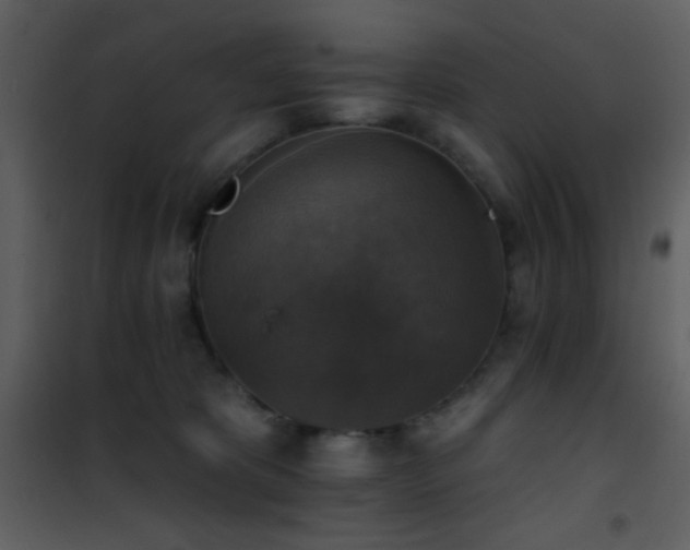 X0000101970325200807181111