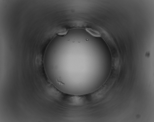 X0000101970326200807181111