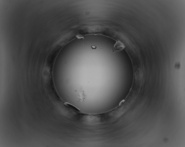 X0000101970327200807181111