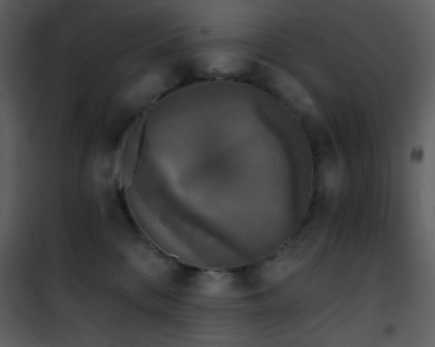 X0000101970328200807181111