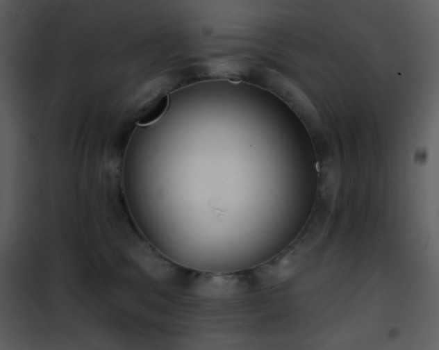 X0000101970329200807181111