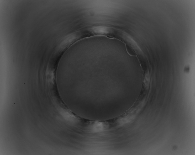 X0000101970330200807181111