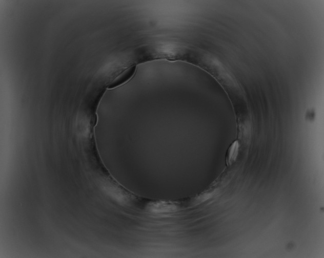X0000101970331200807181111