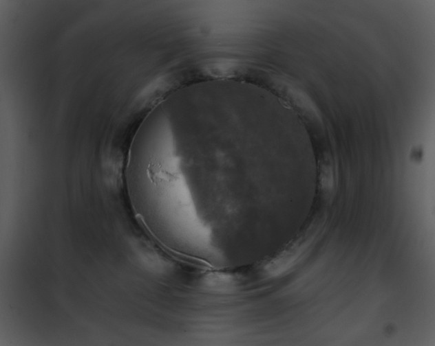 X0000101970332200807181111