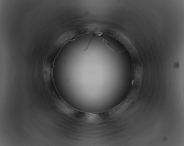 X0000101970333200807181111