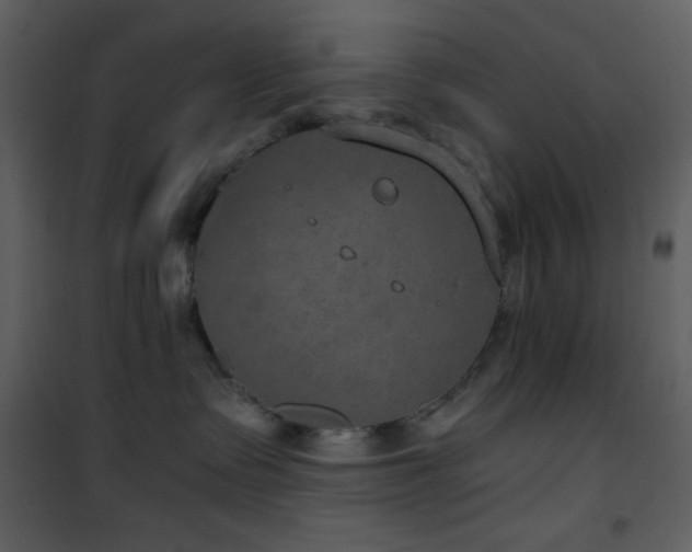 X0000101970335200807181111