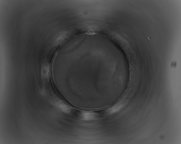 X0000101970336200807181111