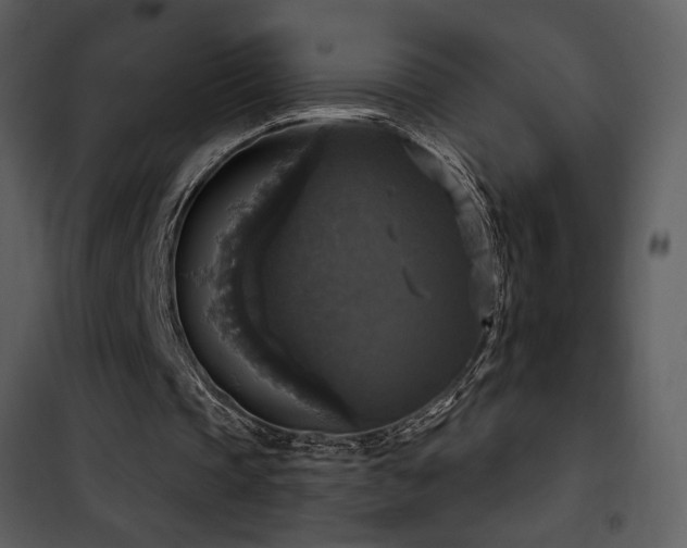 X0000101970337200807181110
