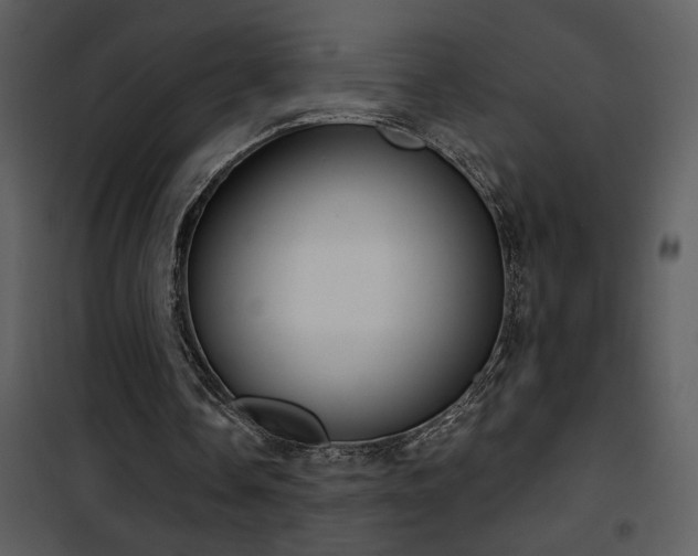 X0000101970338200807181110