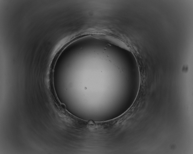 X0000101970340200807181110