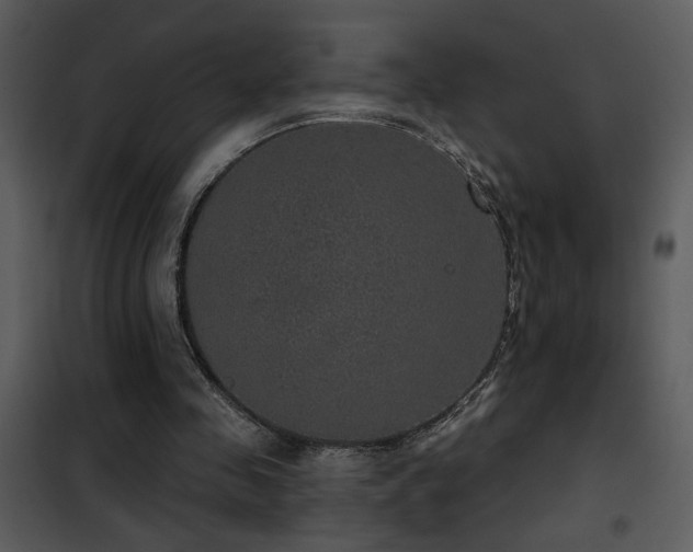 X0000101970341200807181110