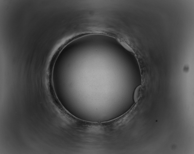 X0000101970342200807181110