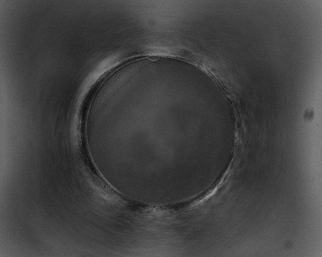 X0000101970343200807181110