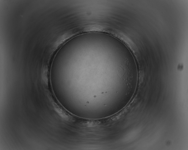 X0000101970345200807181110