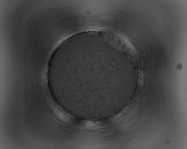 X0000101970346200807181110