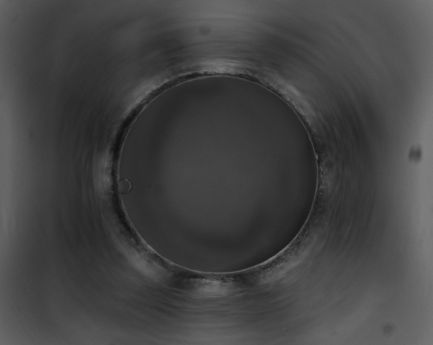 X0000101970347200807181110