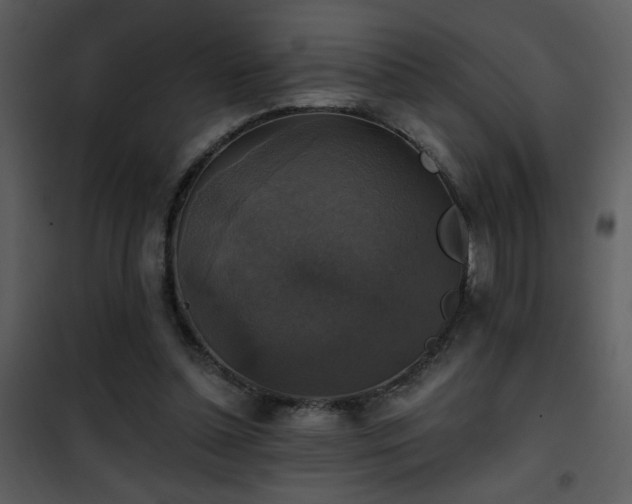 X0000101970348200807181110