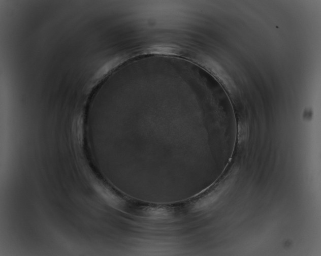 X0000101970349200807181110