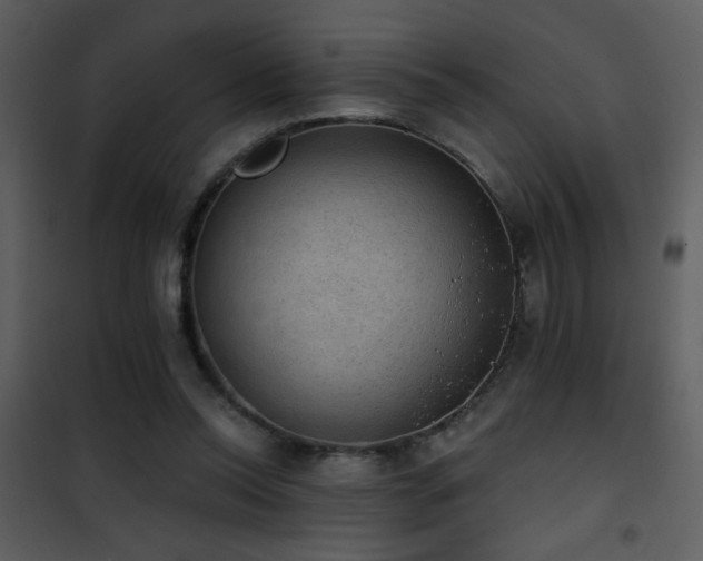 X0000101970350200807181110
