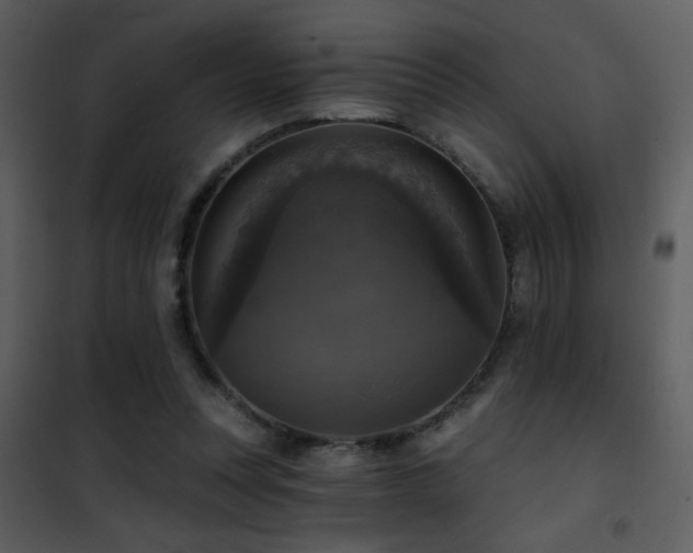 X0000101970351200807181110