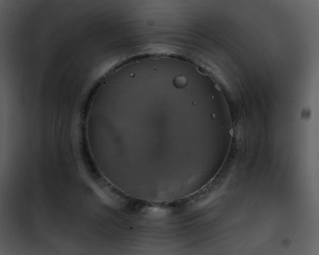 X0000101970352200807181110