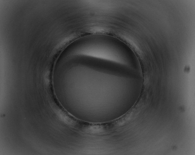 X0000101970353200807181110