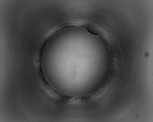 X0000101970354200807181110
