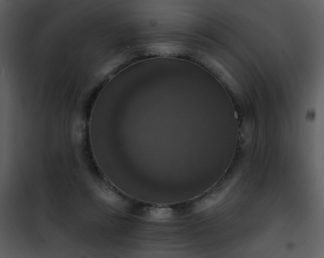 X0000101970355200807181110