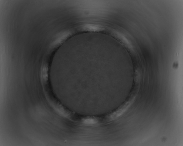 X0000101970358200807181110