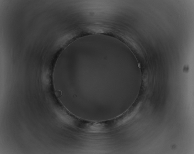 X0000101970359200807181110