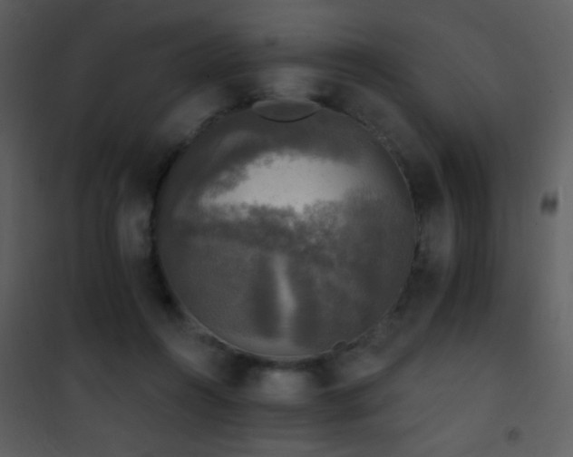 X0000101970360200807181110