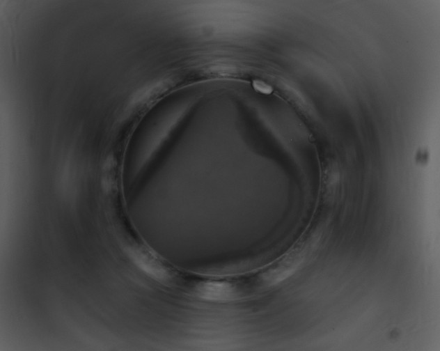 X0000101970361200807181110